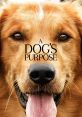 A Dog's Purpose A Dog's Purpose is a heartwarming movie that takes viewers on an emotional journey through the lives of