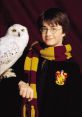 Hedwing The haunting of "Hedwig's Theme" echoes through the air, instantly transporting listeners to the magical world of